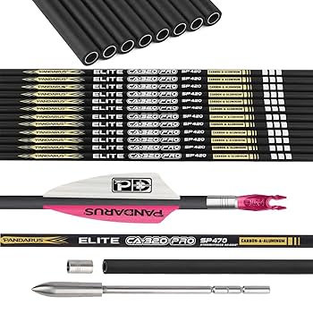 TENPOINT PRO ELITE カーボン矢 ＆ アルミ矢 まとめ売り TENPOINT PRO ELITE カーボン矢 ＆ アルミ矢 まとめ売り
